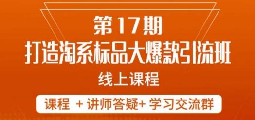 南掌柜-第17期打造淘系标品大爆款，5天线上课-皮皮网创