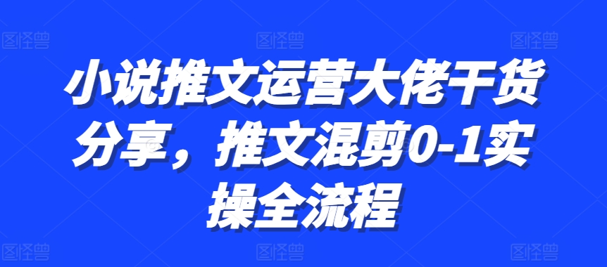 小说推文运营大佬干货分享，推文混剪0-1实操全流程-皮皮网创