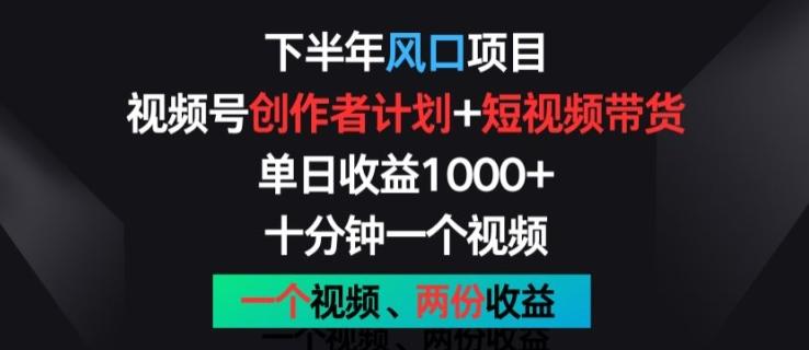 下半年风口项目，视频号创作者计划+视频带货，一个视频两份收益，十分钟一个视频【揭秘】-皮皮网创