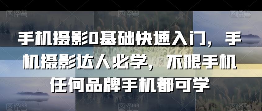 手机摄影0基础快速入门，手机摄影达人必学，不限手机任何品牌手机都可学-皮皮网创