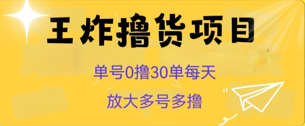 王炸撸货项目，单号0撸30单每天，多号多撸【揭秘】-皮皮网创