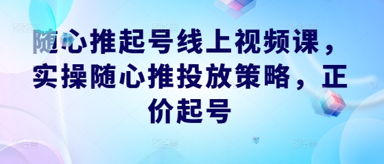 随心推起号线上视频课，实操随心推投放策略，正价起号-皮皮网创