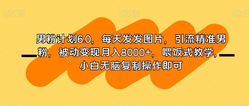 男粉计划6.0，每天发发图片，引流精准男粉，被动变现月入8000+，喂饭式教学，小白无脑复制操作即可-皮皮网创