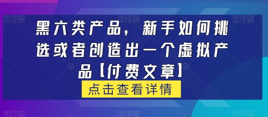 黑六类虚拟产品，新手如何挑选或者创造出一个虚拟产品【付费文章】-皮皮网创