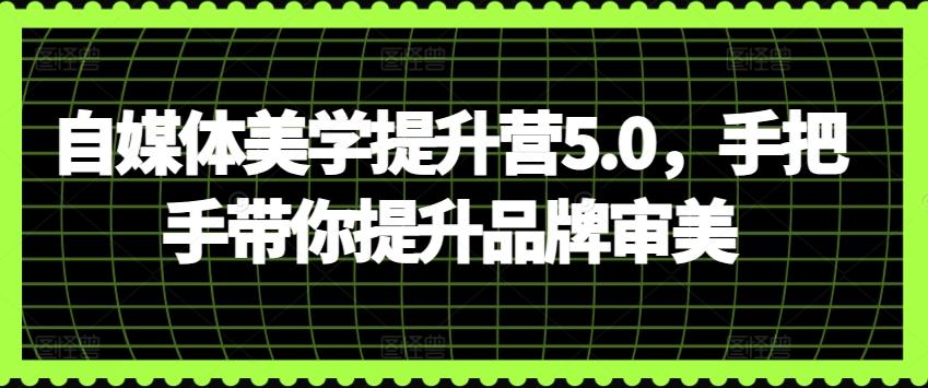 自媒体美学提升营5.0，手把手带你提升品牌审美-皮皮网创