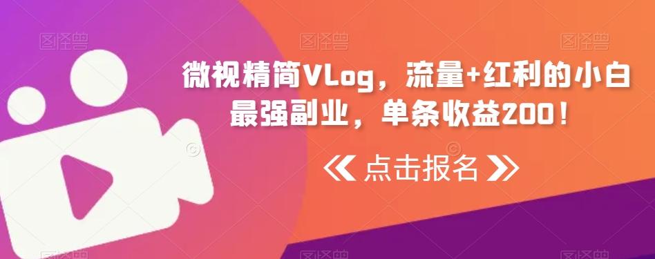 微视精简Vlog，流量+红利的小白最强副业，单条收益200！-皮皮网创