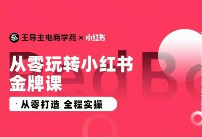 王导主·小红书电商运营实操课，​从零打造  全程实操-皮皮网创