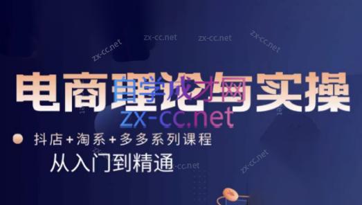 磊子·电商理论与实操(抖店+淘系+拼多多)-皮皮网创