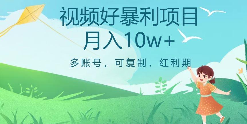 外边收费699项目，视频号暴利项目，多账号可复制，红利期-皮皮网创