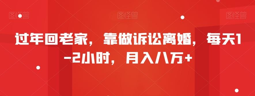过年回老家，靠做诉讼离婚，每天1-2小时，月入八万+-皮皮网创