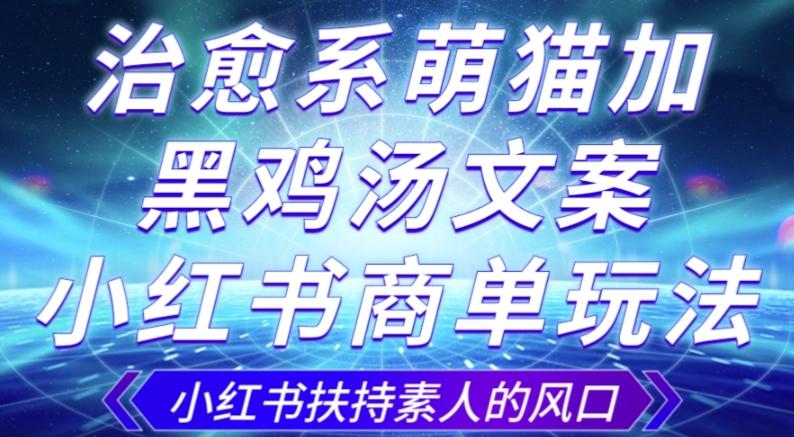 治愈系萌猫加+黑鸡汤文案，小红书商单玩法，3~10天涨到1000粉，一单200左右-皮皮网创
