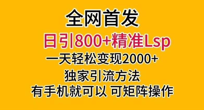 全网首发！日引800+精准老色批，一天变现2000+，独家引流方法，可矩阵操作【揭秘】-皮皮网创