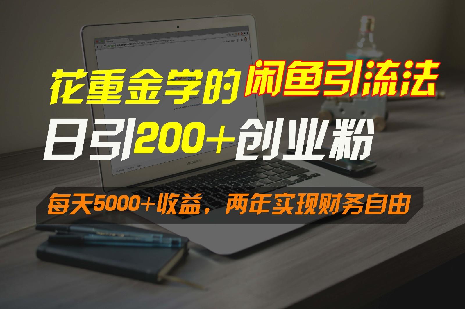 花重金学的闲鱼引流法，日引流300+创业粉，每天5000+收益，两年实现财务自由-皮皮网创