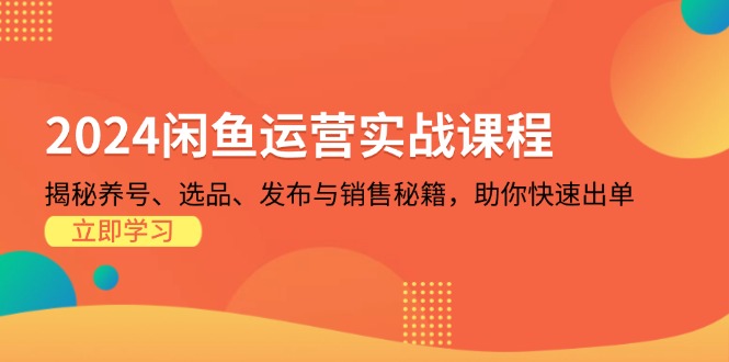 2024闲鱼运营实战课程：揭秘养号、选品、发布与销售秘籍，助你快速出单-皮皮网创