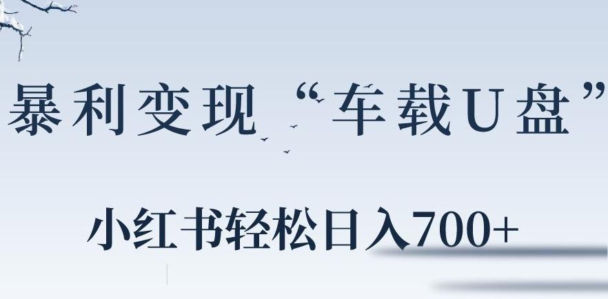 小红书“车载U盘”暴利引流，日入700+-皮皮网创