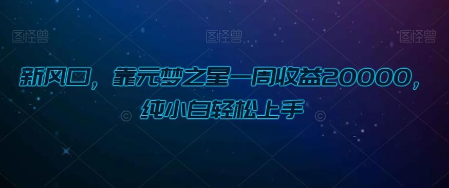 新风口，靠元梦之星一周收益20000，纯小白轻松上手-皮皮网创