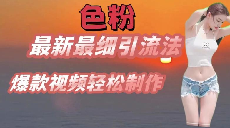 se粉最新最细引流法，七天螺旋起号法，爆款视频轻松制作【揭秘】-皮皮网创