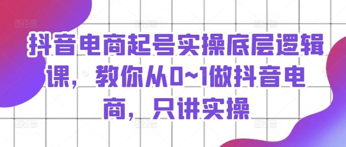 抖音电商起号实操底层逻辑课，教你从0~1做抖音电商，只讲实操-皮皮网创