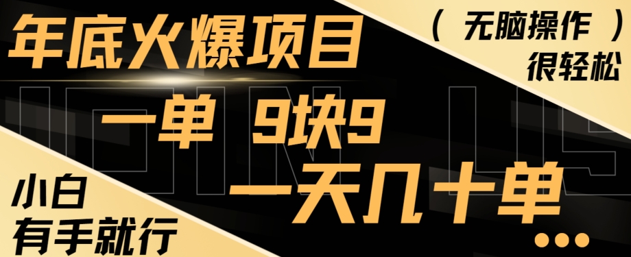 年底火爆项目，一单9.9，一天几十单，只需一部手机，傻瓜式操作，小白有手就行-皮皮网创