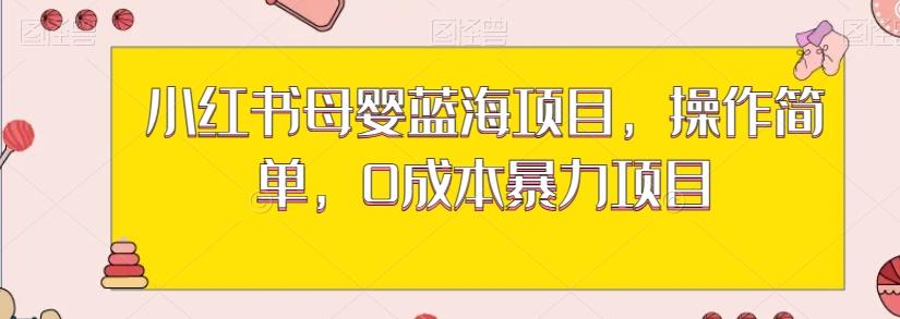 小红书母婴蓝海项目，操作简单，0成本暴力项目-皮皮网创