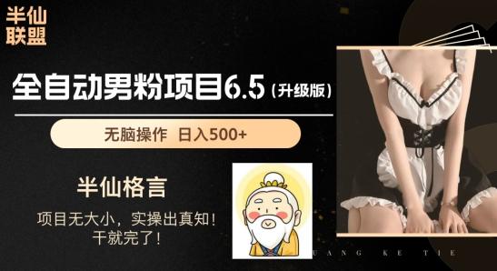 男粉项目6.5升级版，全自动男粉项目，日收入1K+【揭秘】-皮皮网创