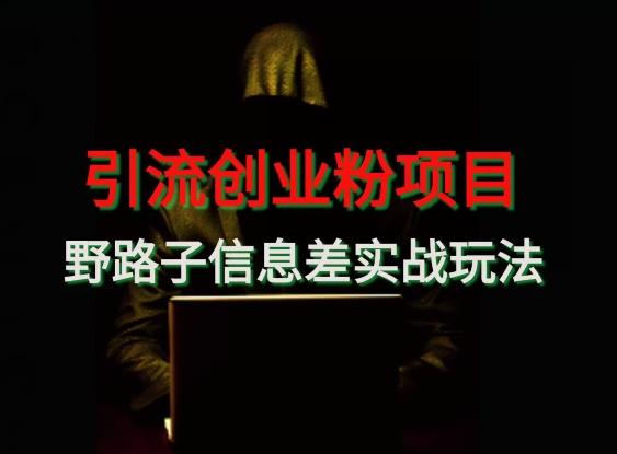 【引流创业粉】野路子信息差玩法实战教学-皮皮网创