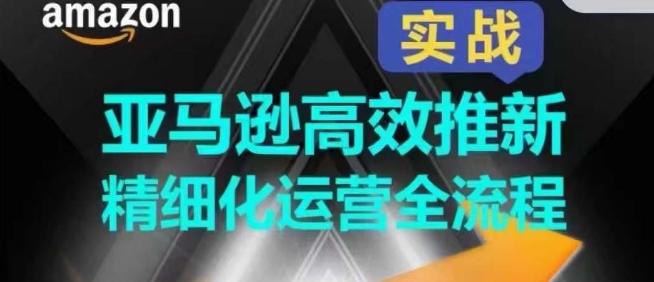 亚马逊高效推新精细化运营全流程，全方位、快速拉升产品排名和销量!-皮皮网创