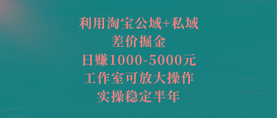 利用淘宝公域+私域差价掘金，日赚1000-5000元，工作室可放大操作，实操…-皮皮网创