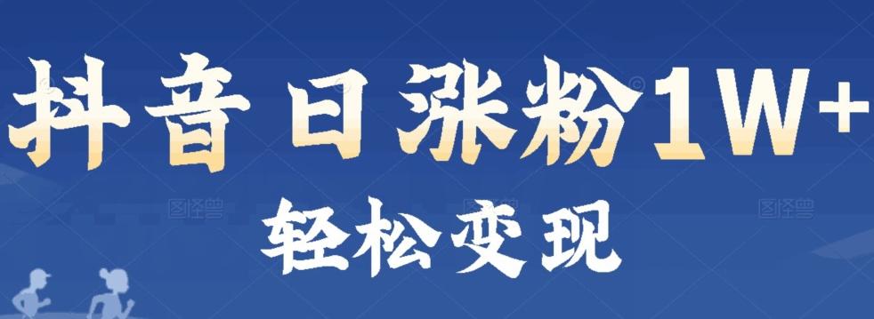 首发抖音新赛道日涨粉1W+轻松变现-皮皮网创