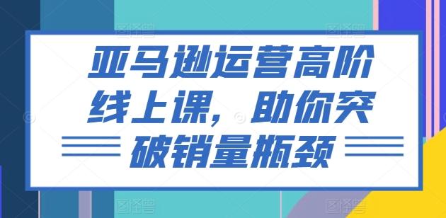亚马逊运营高阶线上课，助你突破销量瓶颈-皮皮网创