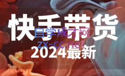 快手带货(2024最新)-皮皮网创
