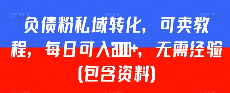 负债粉私域转化，可卖教程，每日可入2000+，无需经验（包含资料）【揭秘】-皮皮网创