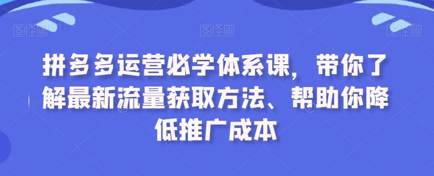拼多多运营必学体系课，带你了解最新流量获取方法、帮助你降低推广成本-皮皮网创