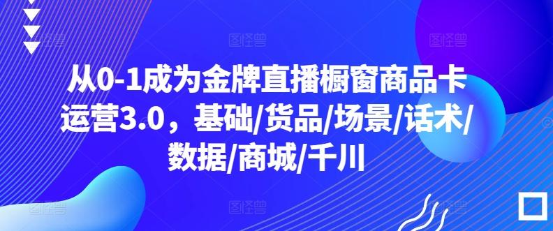 从0-1成为金牌直播橱窗商品卡运营3.0，基础/货品/场景/话术/数据/商城/千川-皮皮网创