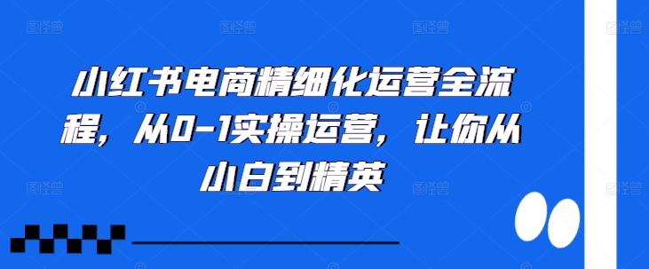 小红书电商精细化运营全流程，从0-1实操运营，让你从小白到精英-皮皮网创