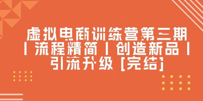 虚拟电商训练营第三期丨流程精简丨创造新品丨引流升级 [完结]-皮皮网创