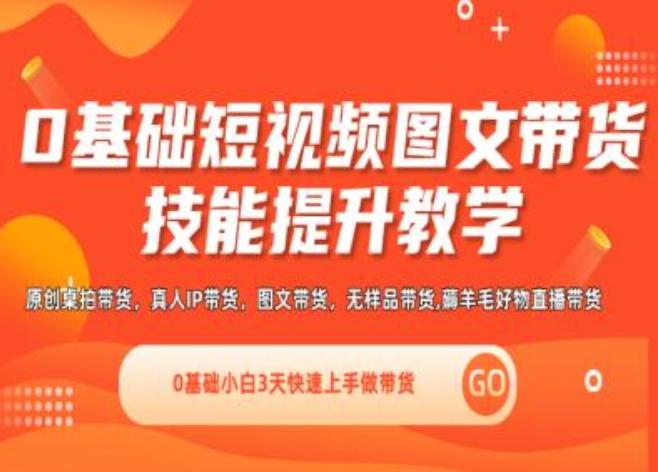 0基础短视频图文带货实操技能提升教学(直播课+视频课),0基础小白3天快速上手做带货-皮皮网创