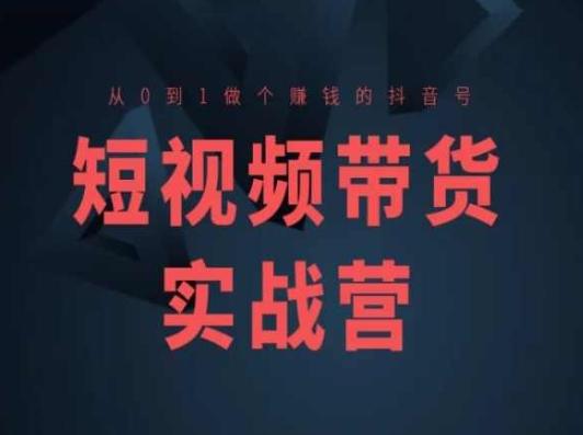 短视频带货实战营(高阶课)，从0到1做个赚钱的抖音号-皮皮网创