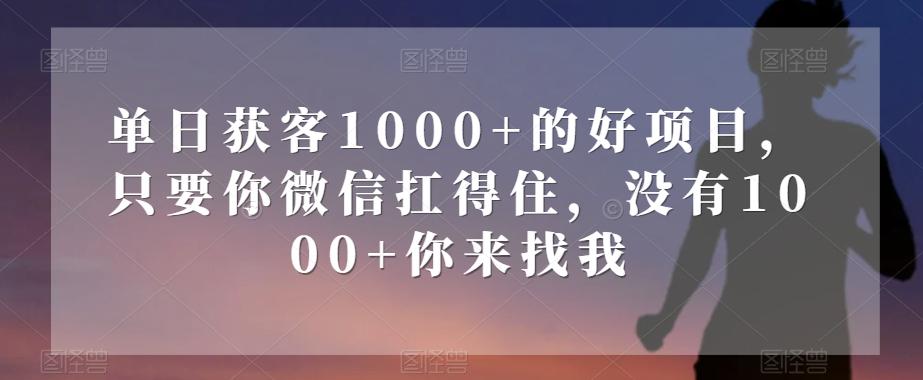 单日获客1000+的好项目，只要你微信扛得住，没有1000+你来找我【揭秘】-皮皮网创