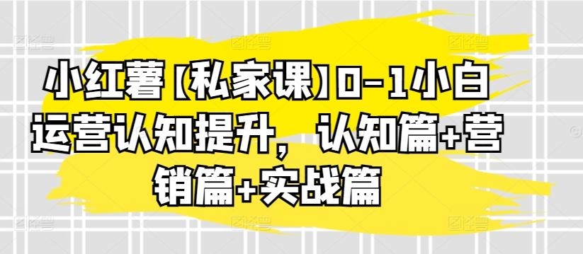 小红薯【私家课】0-1小白运营认知提升，认知篇+营销篇+实战篇-皮皮网创