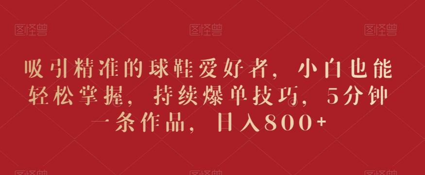 吸引精准的球鞋爱好者，小白也能轻松掌握，持续爆单技巧，5分钟一条作品，日入800+【揭秘】-皮皮网创