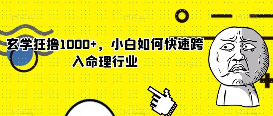 玄学狂撸1000+，小白如何快速跨入命理行业-皮皮网创