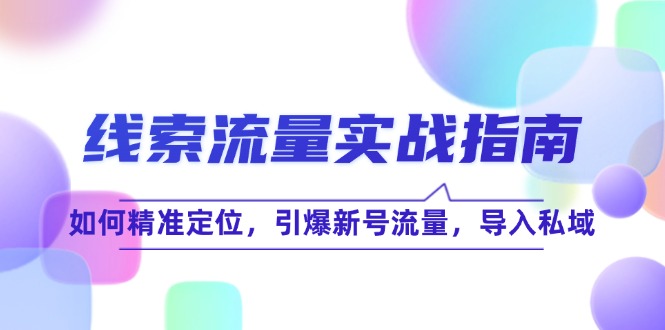 线 索 流 量-实战指南：如何精准定位，引爆新号流量，导入私域-皮皮网创