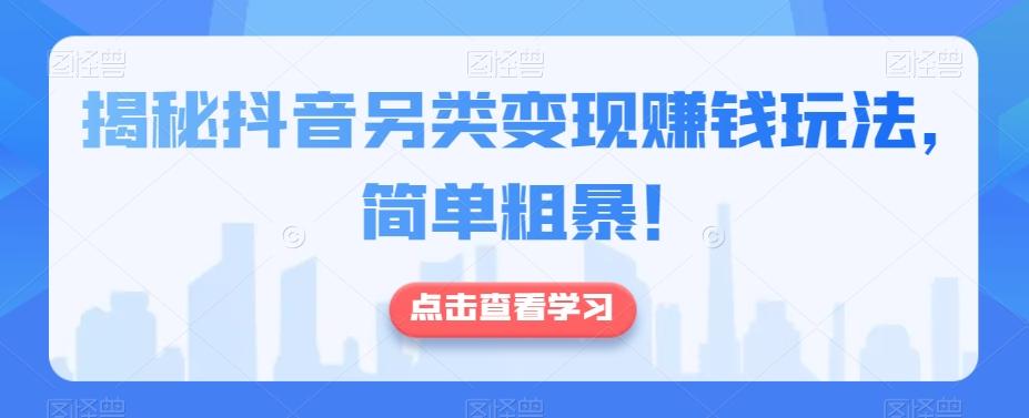 揭秘抖音另类变现赚钱玩法，简单粗暴！-皮皮网创