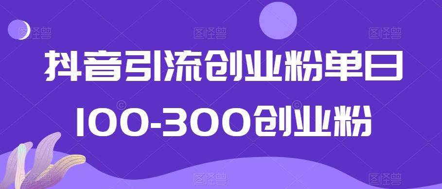 抖音引流创业粉单日100-300创业粉【揭秘】-皮皮网创