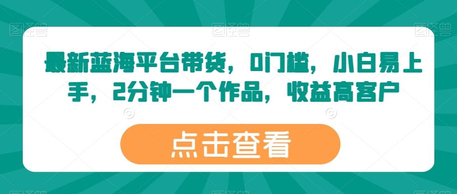 最新蓝海平台带货，0门槛，小白易上手，2分钟一个作品，收益高【揭秘】-皮皮网创