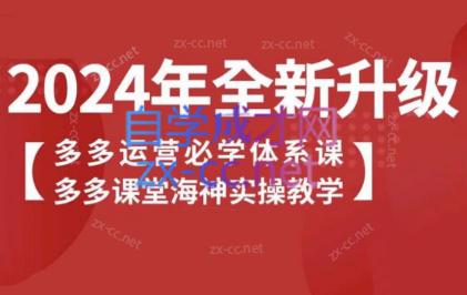 海神老师·拼多多运营必学体系课-皮皮网创