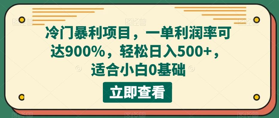 冷门暴利项目，一单利润率可达900%，轻松日入500+，适合小白0基础-皮皮网创