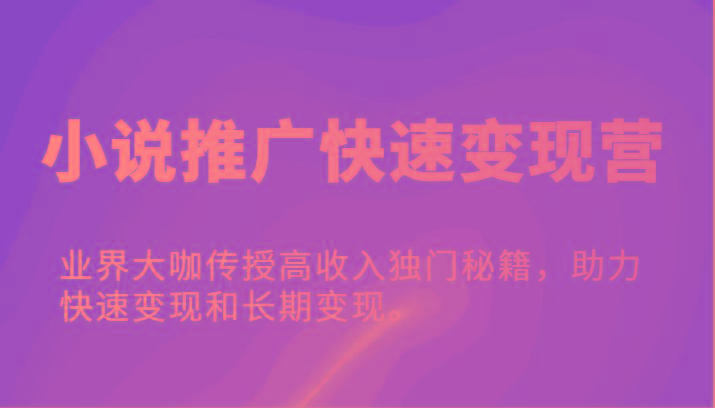 小说推广快速变现营-业界大咖传授高收入独门秘籍，助力快速变现和长期变现。-皮皮网创