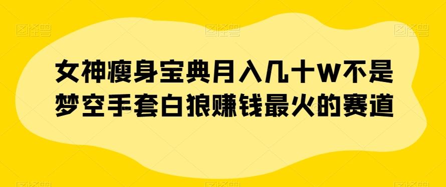 女神瘦身宝典月入几十W不是梦空手套白狼赚钱最火的赛道【揭秘】-皮皮网创